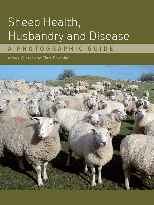 Sheep pdf. Pdf Sheep. Lives in a field of Sheep книга. Husbandry. Animal husbandry pic.